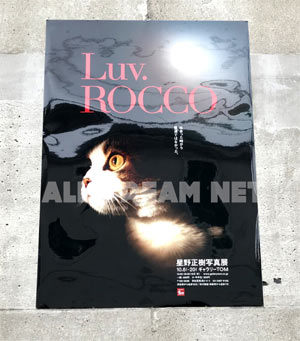 Luv.ROCCO　星野正樹写真展